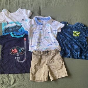 🌊 Shark Bundle 🦈 !!